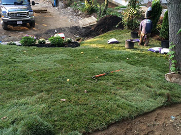  Israel Landscaping Construction  - Our Works