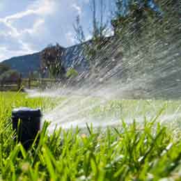  Irrigation Systems